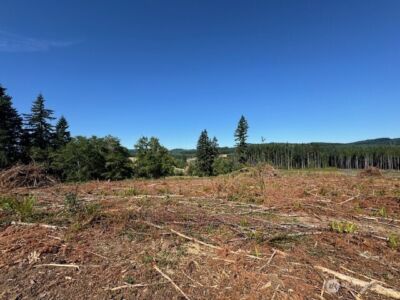 0 Lot 6 Nelson Road , Winlock, WA 98596 - Photo 15