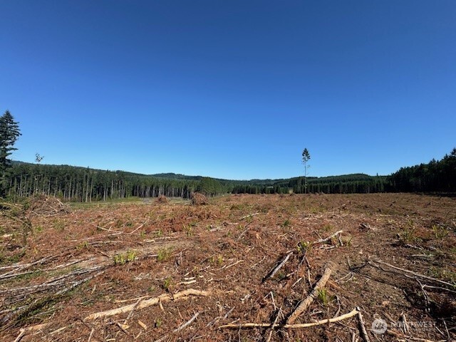 0 Lot 6 Nelson Road , Winlock, WA 98596