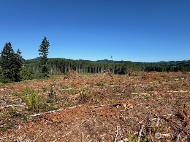 0 Lot 6 Nelson Road , Winlock, WA 98596