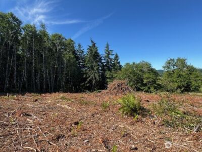 0 Lot 6 Nelson Road , Winlock, WA 98596 - Photo 2