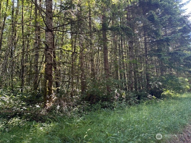 0 Lot 6 Nelson Road , Winlock, WA 98596