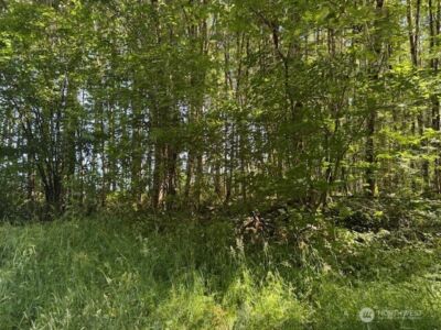 0 Lot 6 Nelson Road , Winlock, WA 98596 - Photo 4