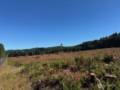 0 Lot 6 Nelson Road , Winlock, WA 98596 - Photo 5