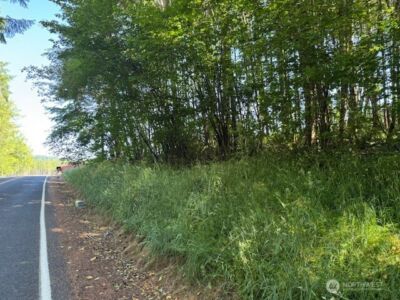 0 Lot 6 Nelson Road , Winlock, WA 98596 - Photo 6