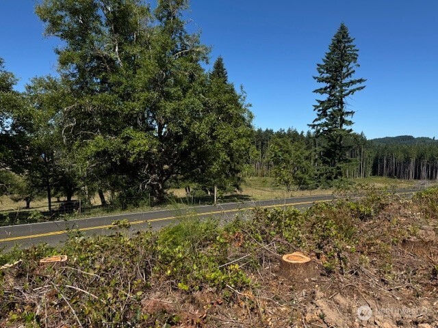 0 Lot 6 Nelson Road , Winlock, WA 98596