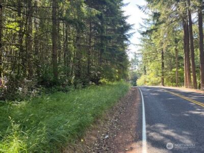 0 Lot 6 Nelson Road , Winlock, WA 98596 - Photo 8