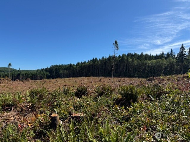 0 Lot 6 Nelson Road , Winlock, WA 98596