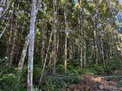 0 Lot 6 Nelson Road , Winlock, WA 98596 - Photo 10