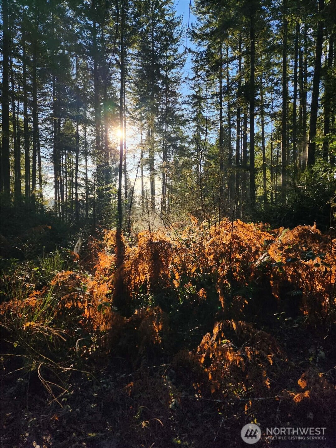 91 E Tepee Lane , Belfair, WA 98528