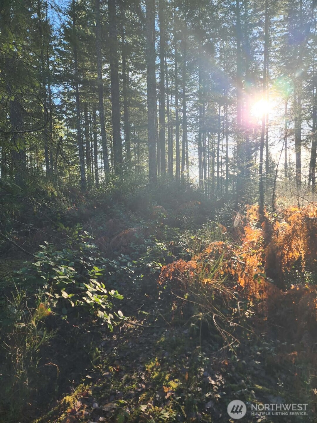 91 E Tepee Lane , Belfair, WA 98528