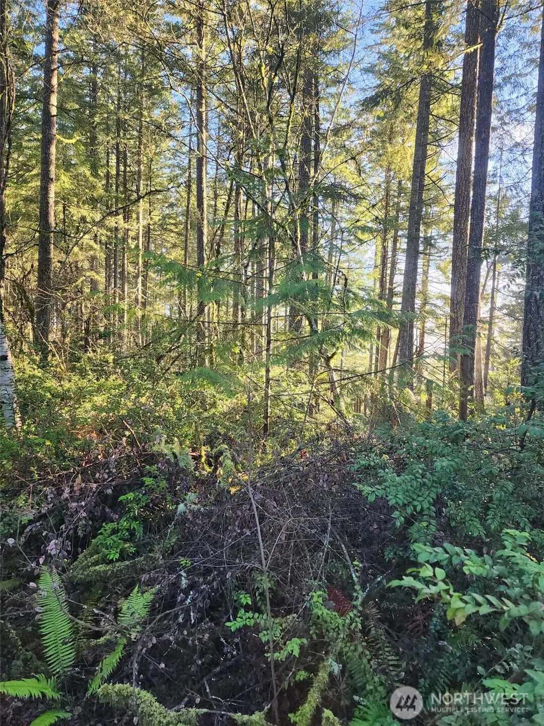 91 E Tepee Lane , Belfair, WA 98528