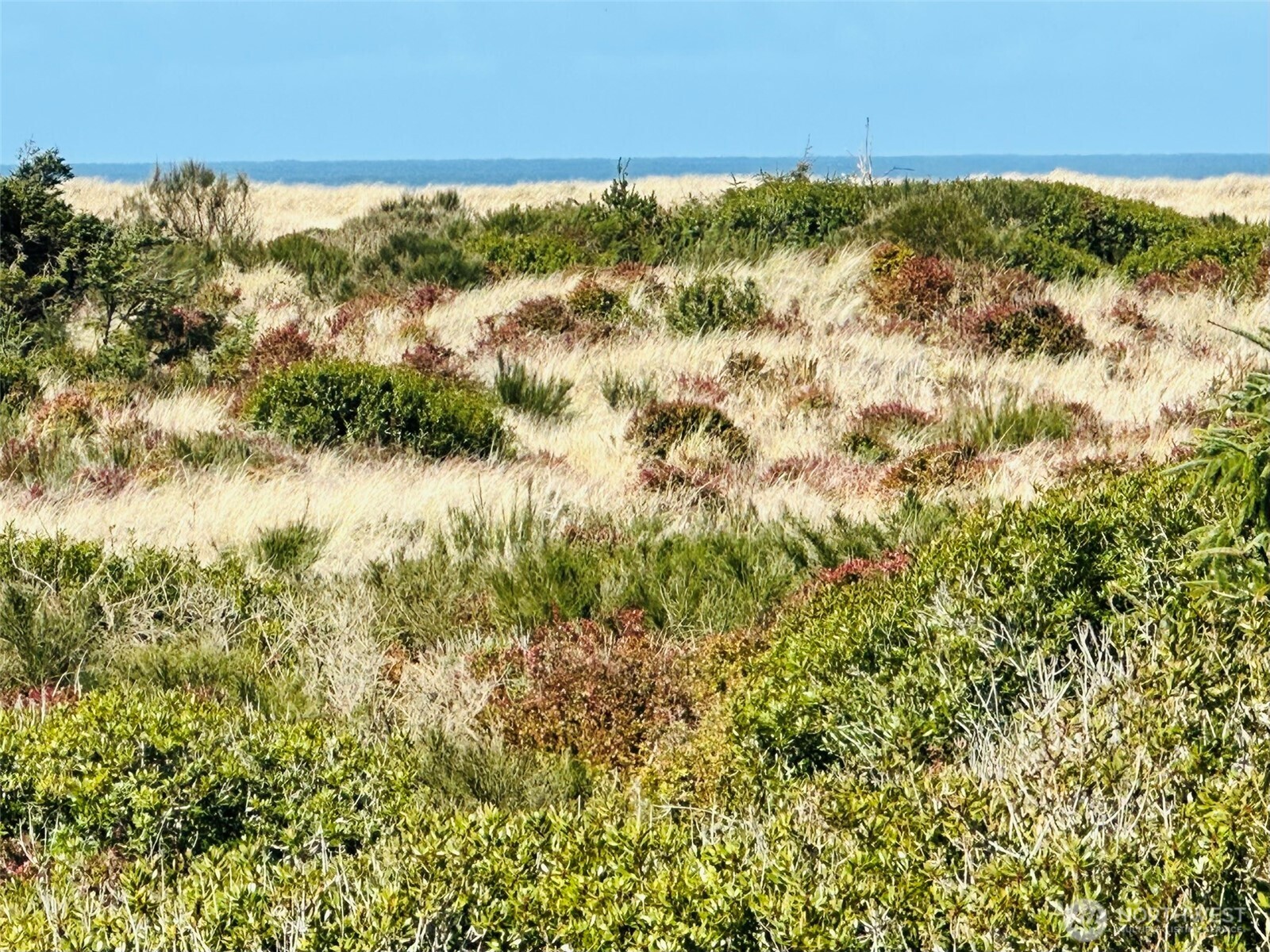 1031 S Sand Dune Avenue SW #B, Ocean Shores, WA 98569