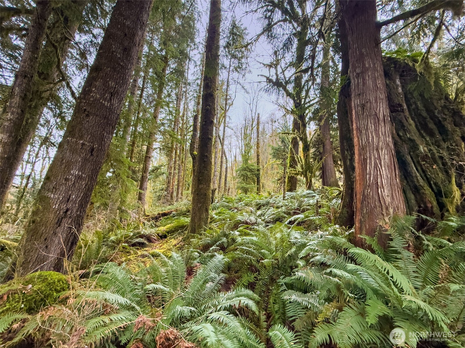 134 Tilton Drive , Morton, WA 98356