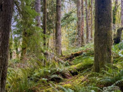 134 Tilton Drive , Morton, WA 98356 - Photo 14