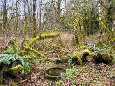 134 Tilton Drive , Morton, WA 98356 - Photo 15