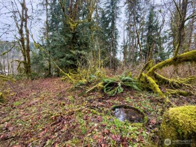 134 Tilton Drive , Morton, WA 98356 - Photo 17