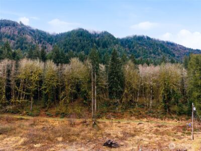 134 Tilton Drive , Morton, WA 98356 - Photo 10