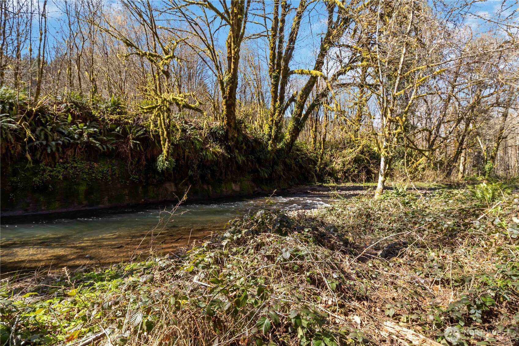 2035 Coal Creek Road , Longview, WA 98632