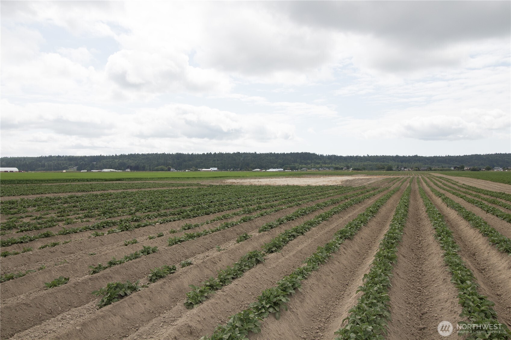 0 Downey Road , Mount Vernon, WA 98273