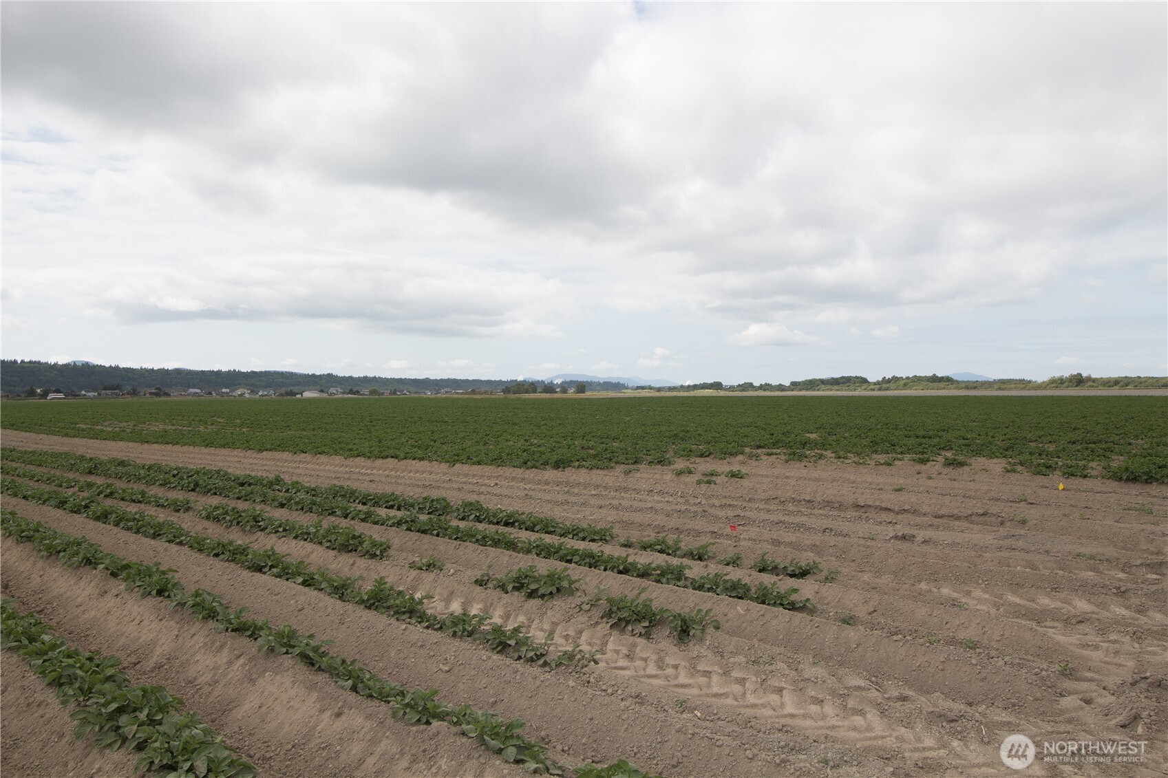 0 Downey Road , Mount Vernon, WA 98273