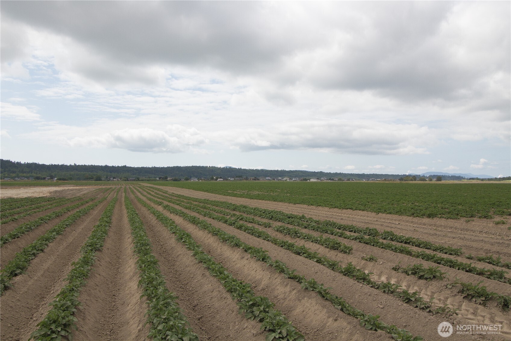 0 Downey Road , Mount Vernon, WA 98273