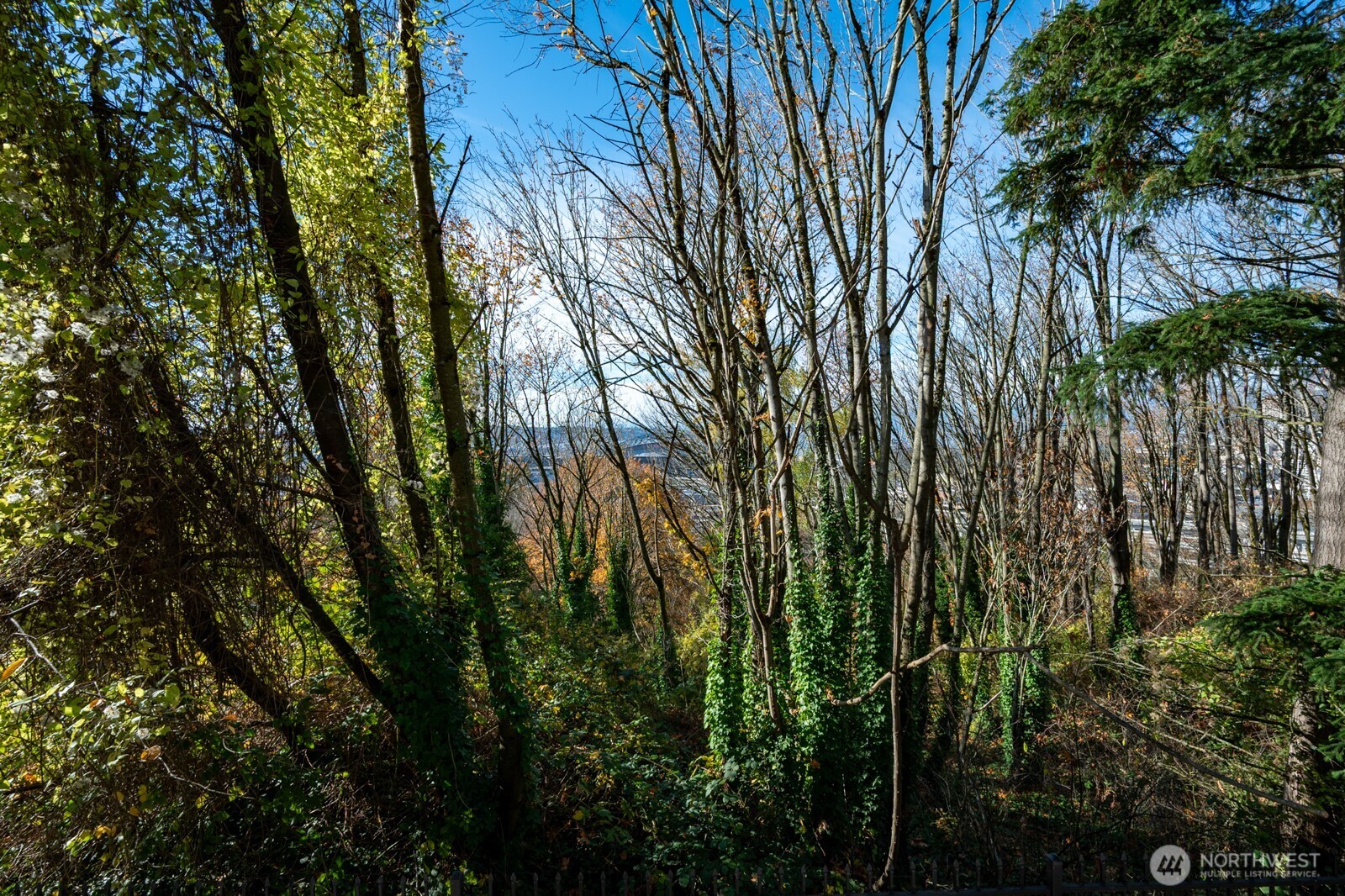 1311 12th Avenue S #C104, Seattle, WA 98144