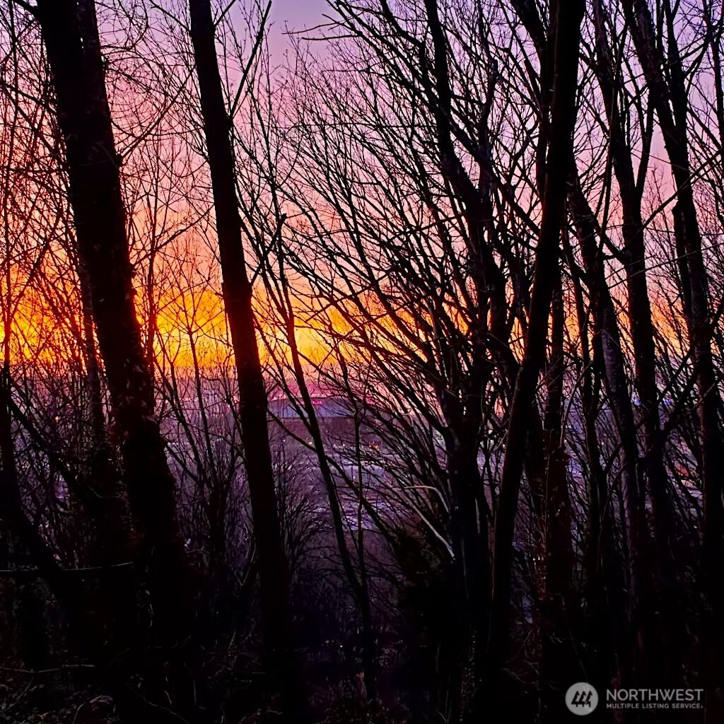 1311 12th Avenue S #C104, Seattle, WA 98144