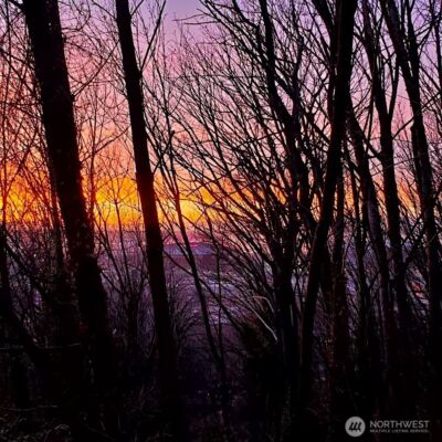 1311 12th Avenue S #C104, Seattle, WA 98144 - Photo 29