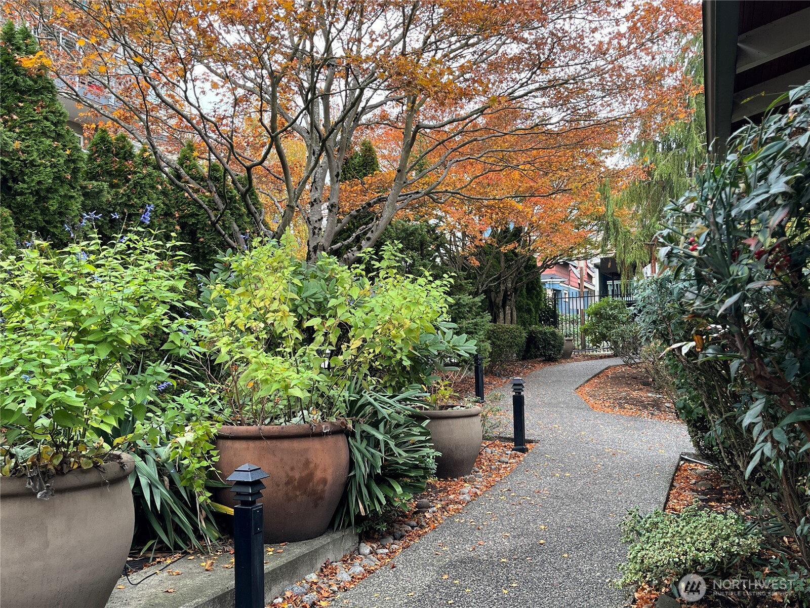 1311 12th Avenue S #C104, Seattle, WA 98144