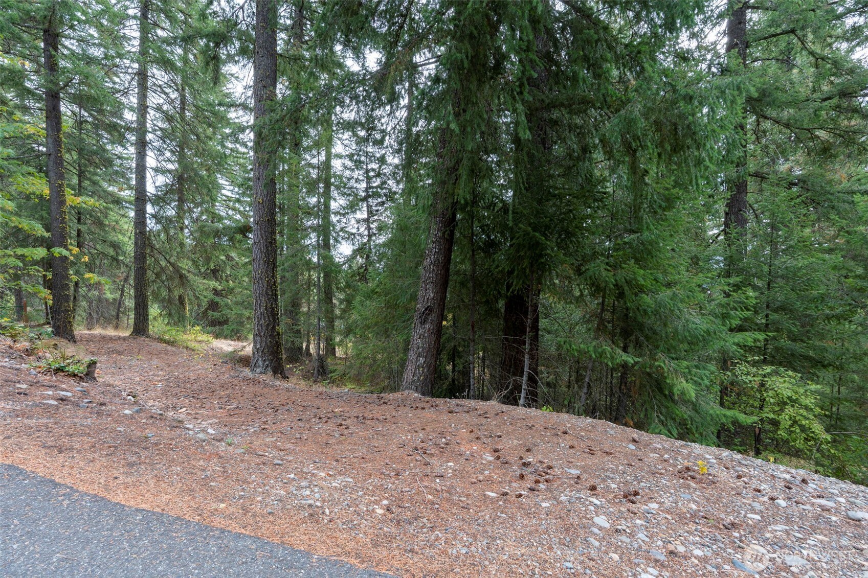 0 Boulder Lane , Ronald, WA 98940