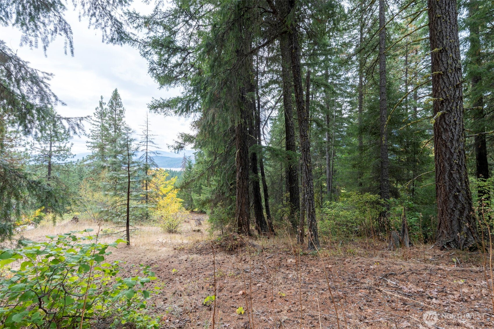 0 Boulder Lane , Ronald, WA 98940