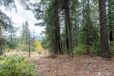 0 Boulder Lane , Ronald, WA 98940 - Photo 12
