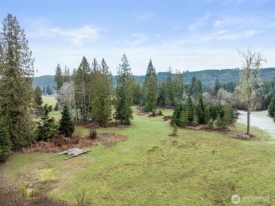 0 XXX Wildwood Road , Boistfort, WA 98538 - Photo 21