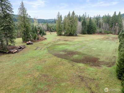 0 XXX Wildwood Road , Boistfort, WA 98538 - Photo 23