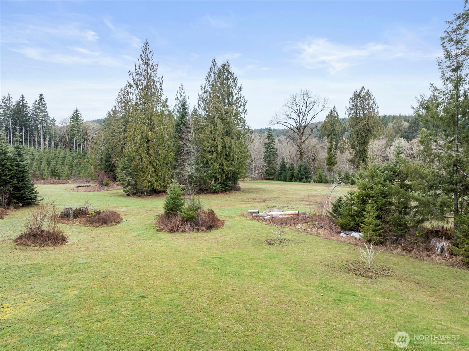 0 XXX Wildwood Road , Boistfort, WA 98538