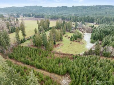 0 XXX Wildwood Road , Boistfort, WA 98538 - Photo 27