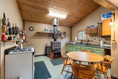 0 XXX Wildwood Road , Boistfort, WA 98538 - Photo 8