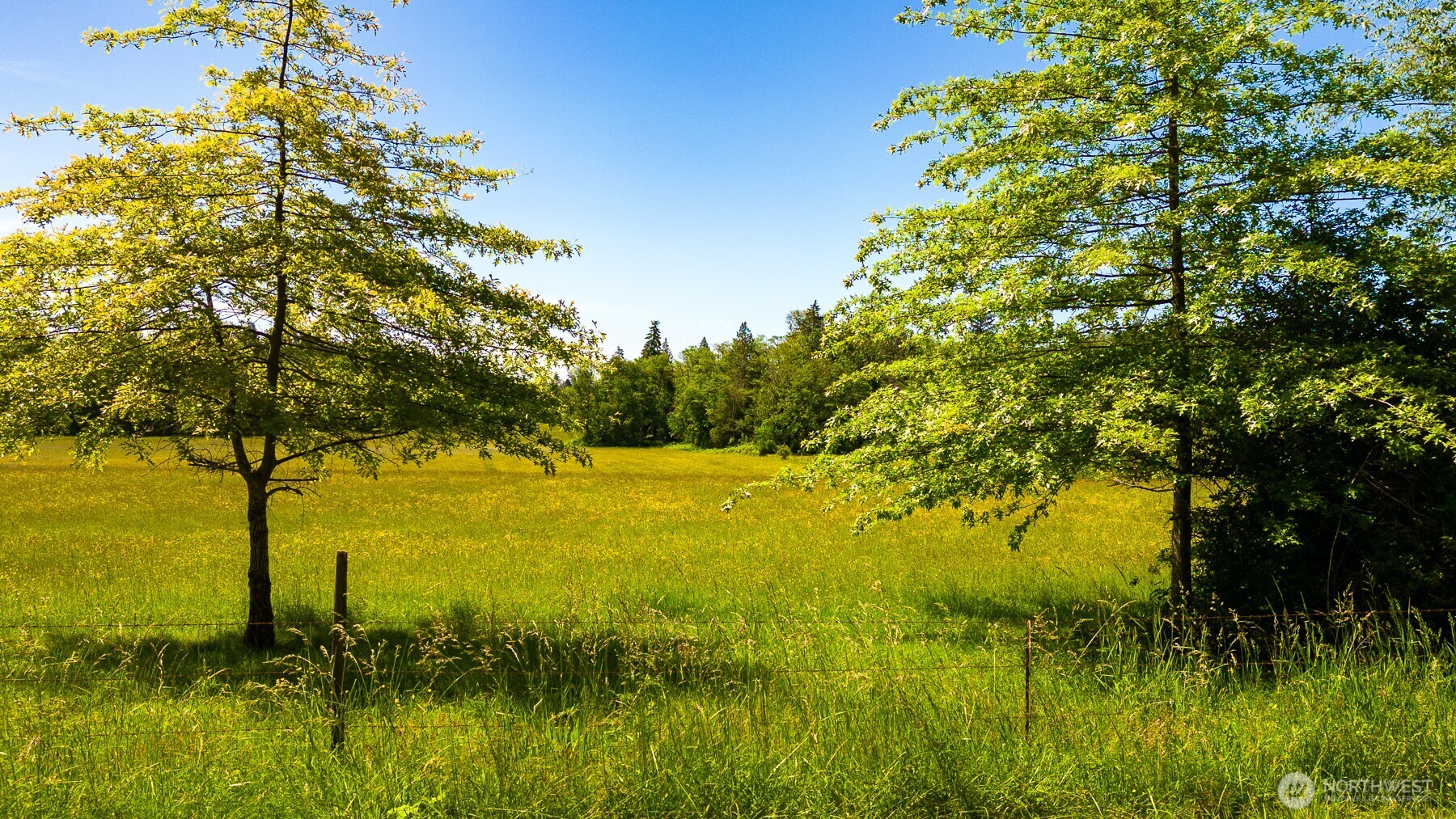 0 Pipeline Road , Blaine, WA 98230