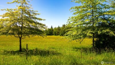 0 Pipeline Road , Blaine, WA 98230 - Photo 1