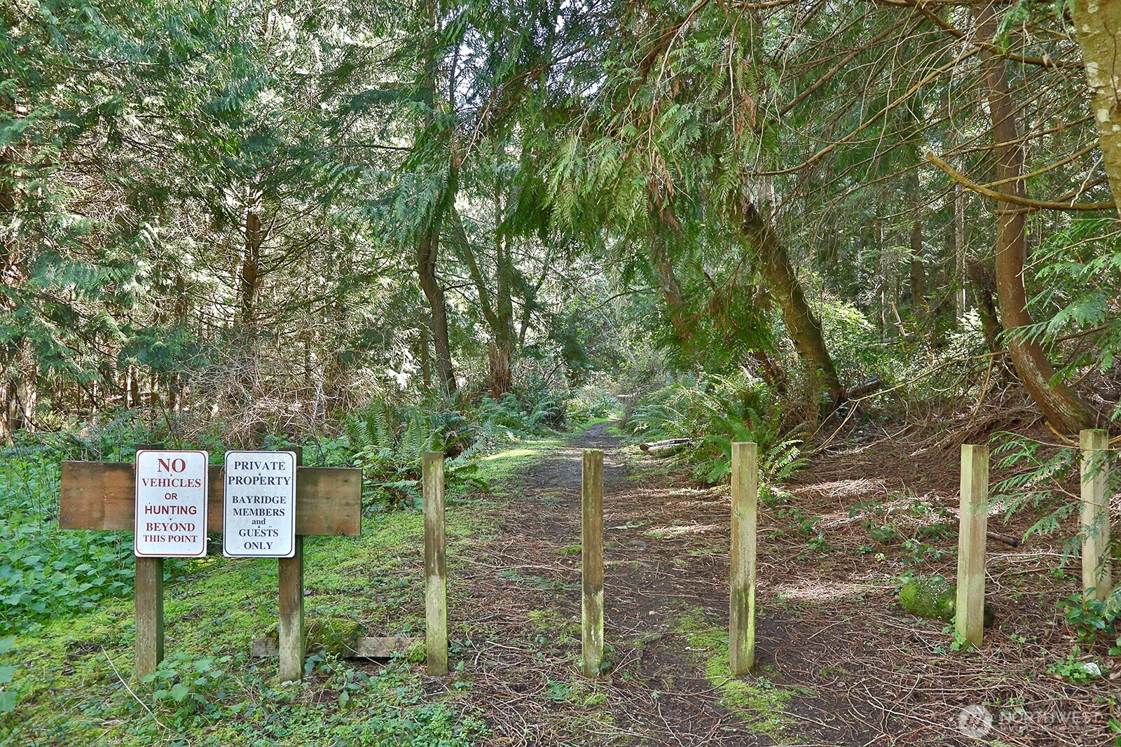 2876 Doc Savage Drive , Langley, WA 98260