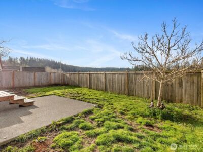 17910 121st Street E, Bonney Lake, WA 98391 - Photo 33