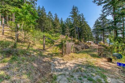 168 Trail Horse Road , Orcas Island, WA 98245 - Photo 34