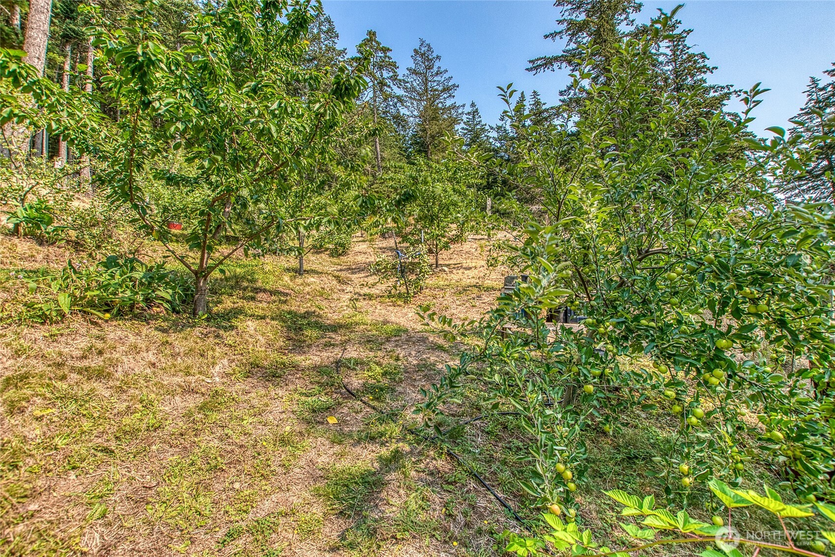 168 Trail Horse Road , Orcas Island, WA 98245