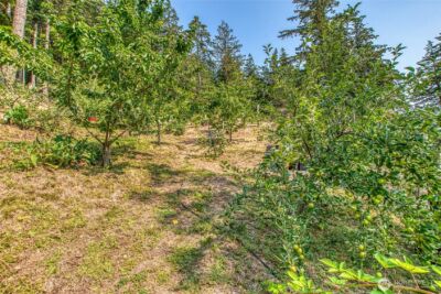 168 Trail Horse Road , Orcas Island, WA 98245 - Photo 35