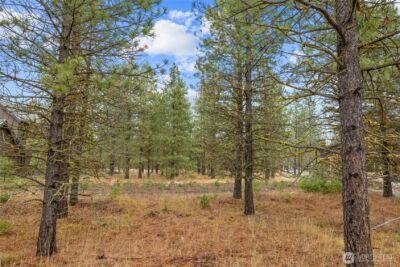 351 Southern Star Lane , Cle Elum, WA 98922 - Photo 7