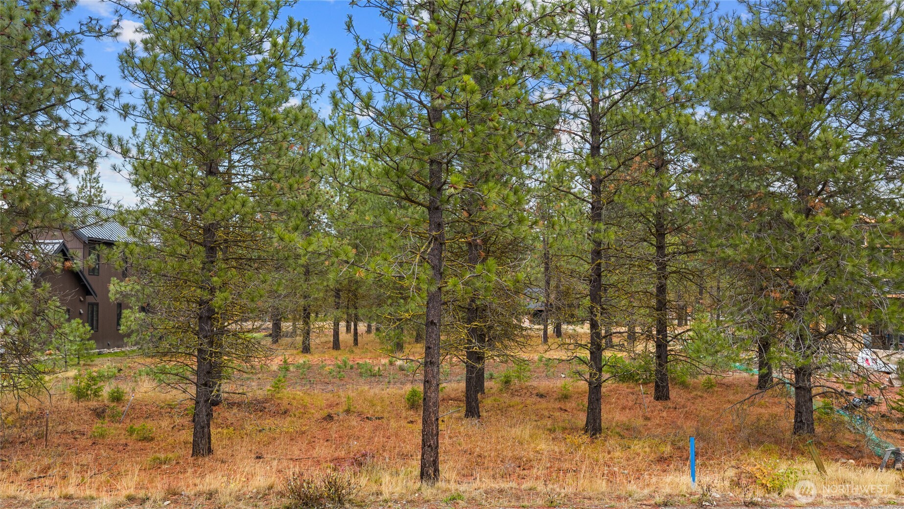 351 Southern Star Lane , Cle Elum, WA 98922