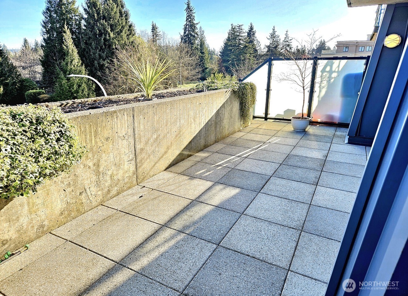 1188 106th Avenue NE #430, Bellevue, WA 98004