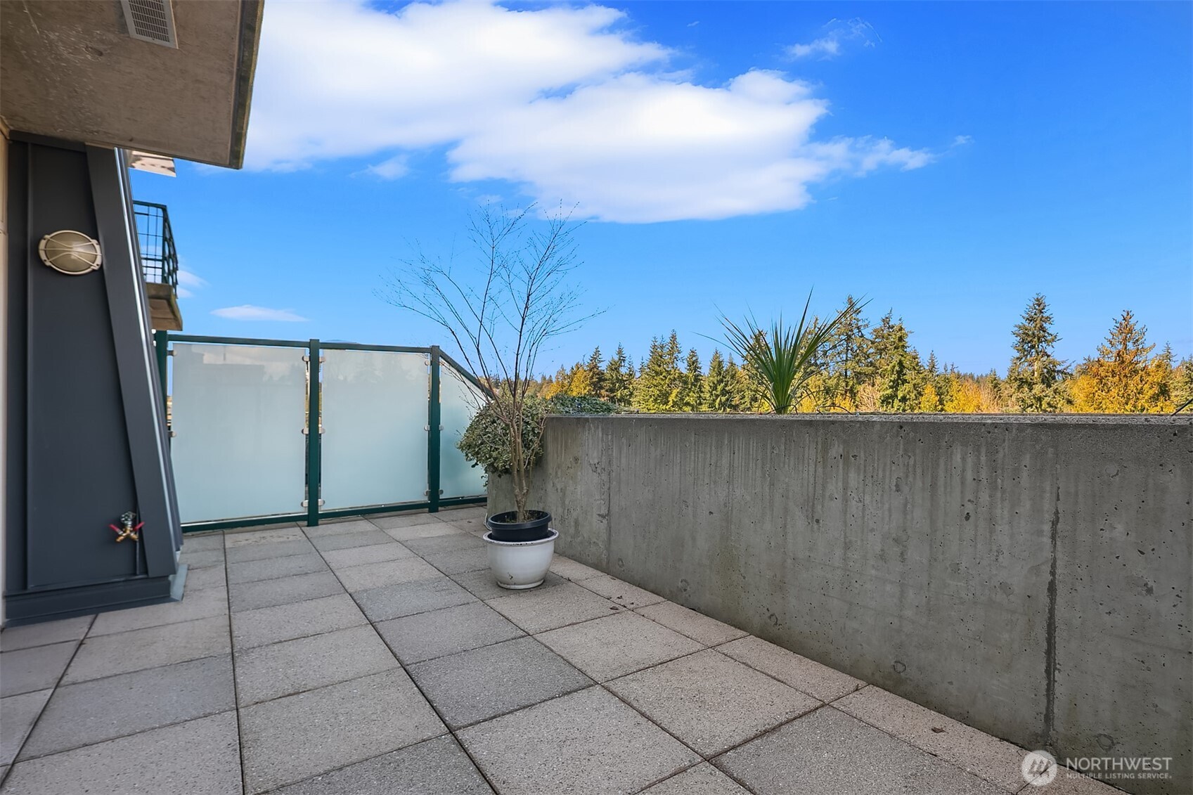 1188 106th Avenue NE #430, Bellevue, WA 98004