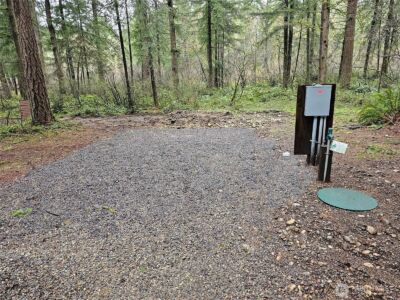 16727 Littlerock Road SW, Rochester, WA 98579 - Photo 5