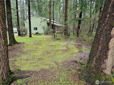 16727 Littlerock Road SW, Rochester, WA 98579 - Photo 26